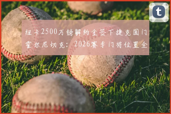 纽卡2500万镑解约金签下捷克国门霍尔尼切克:2026赛季门将位置全面升级,他与瓦茨利克谁更强?深度解析